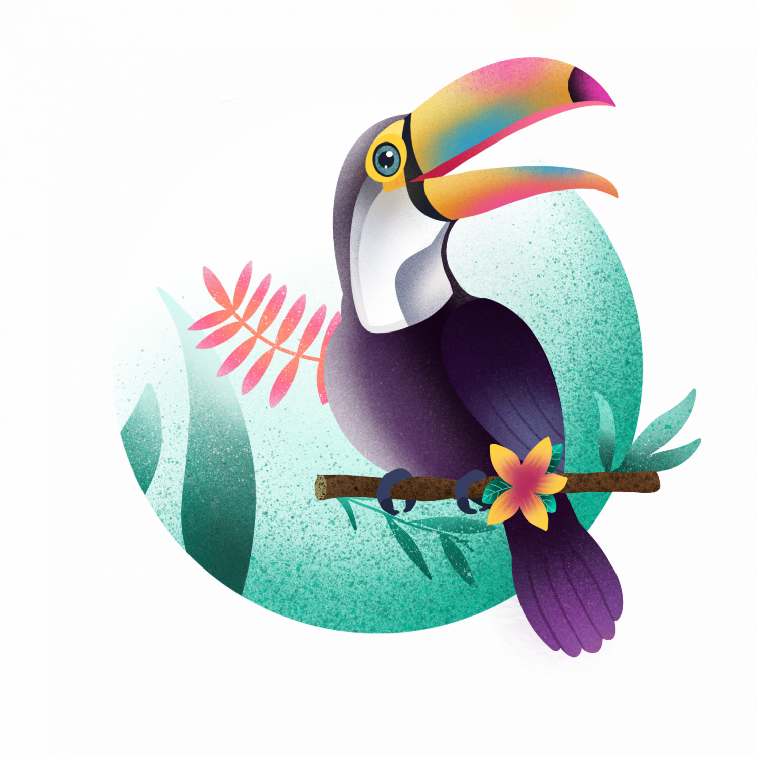 Toucan Peexie